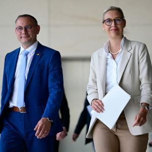 AfD reicht Verfassungsbeschwerde im „Verdachtsfall“-Verfahren ein