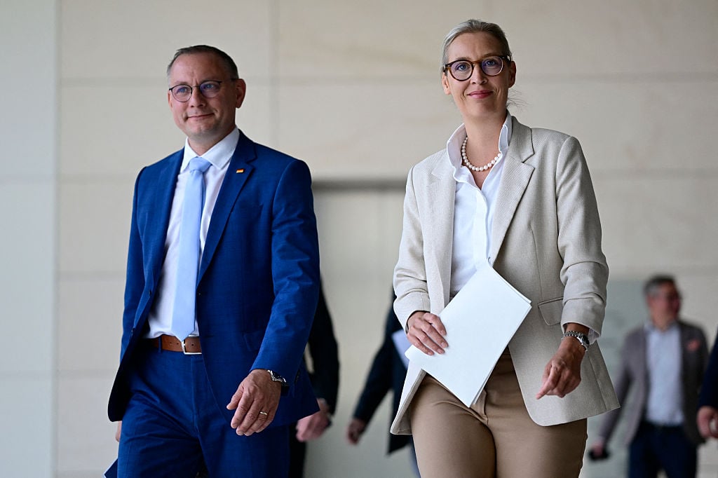 AfD-reicht-Verfassungsbeschwerde-im-Verdachtsfall-Verfahren-ein
