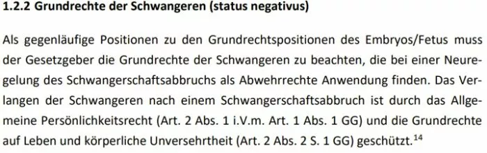 Prof. Dr. Frauke Brosius-Gersdorf über Grundrechte einer Schwangeren als „Abwehrrechte“. Foto: Bildschirmfoto/Stellungnahme für den Rechtsausschuss des Deutschen Bundestages