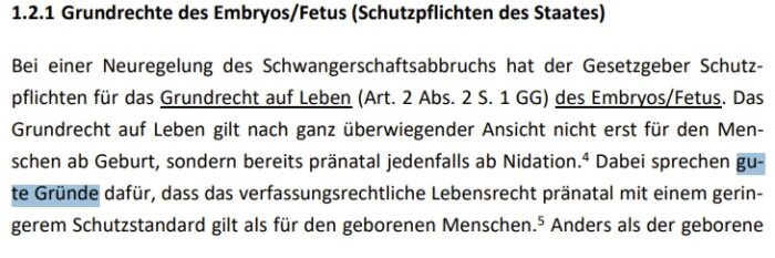 Prof. Dr. Frauke Brosius-Gersdorf über den geringeren Schutzstandard des Lebensrechts für Ungeborene. Foto: Bildschirmfoto/Stellungnahme für den Rechtsausschuss des Deutschen Bundestages