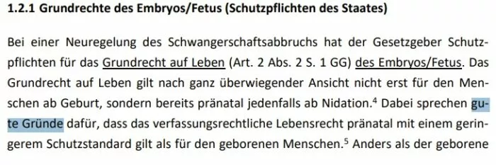 Prof. Dr. Frauke Brosius-Gersdorf über den geringeren Schutzstandard des Lebensrechts für Ungeborene. Foto: Bildschirmfoto/Stellungnahme für den Rechtsausschuss des Deutschen Bundestages