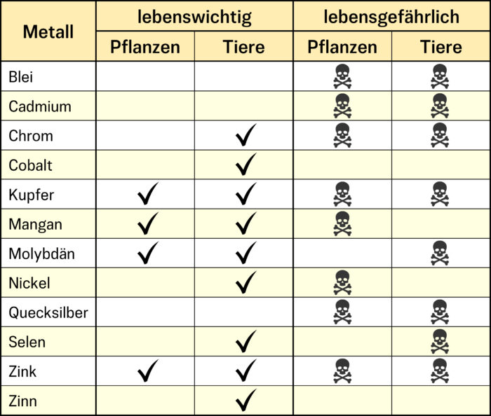 Lebenswichtige und lebensgefährliche Schwermetalle