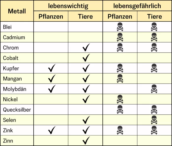 Lebenswichtige und lebensgefährliche Schwermetalle