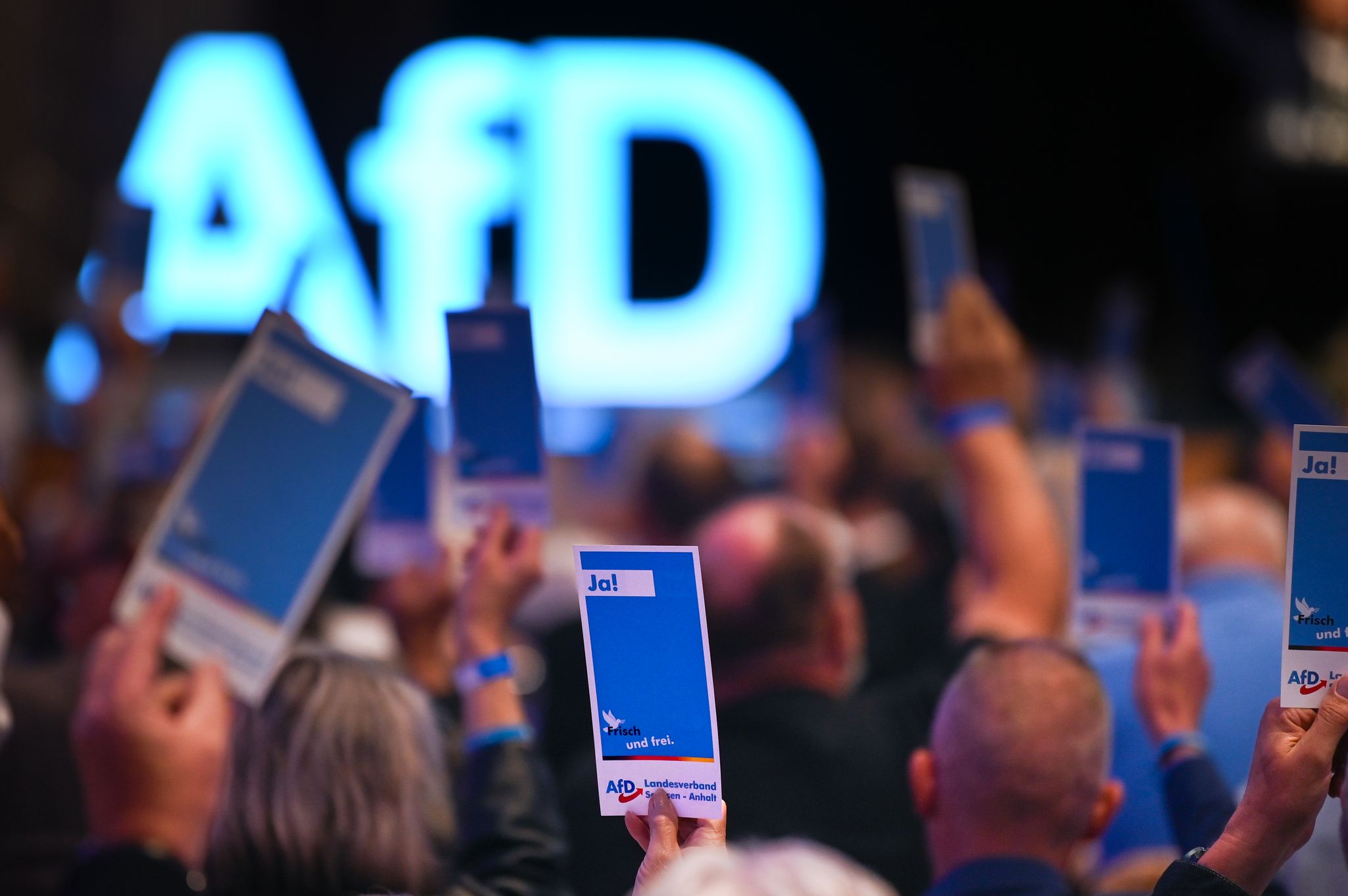 Verfassungsschutz-Vorerst-keine-Einstufung-der-neuen-AfD-Jugend-als-Verdachtsfall