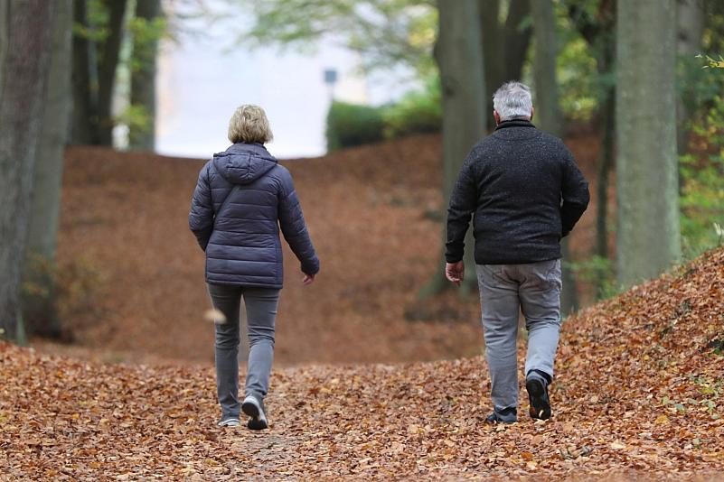 Über 1,4 Millionen arbeitende Rentner im Jahr 2023