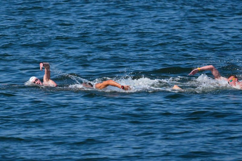 Florian Wellbrock hat seinen zweiten WM-Titel im Freiwasser in Singapur gewonnen.