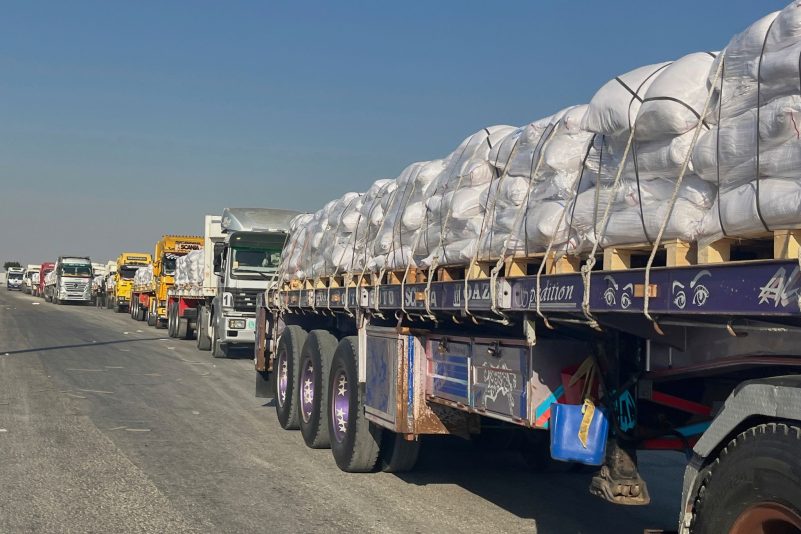 Erste Hilfslieferungen im großen Stil haben erstmals seit Monaten den Gazastreifen erreicht, nachdem Israel Militär eine zeitlich und örtlich begrenzte Feuerpause angekündigt hatte.