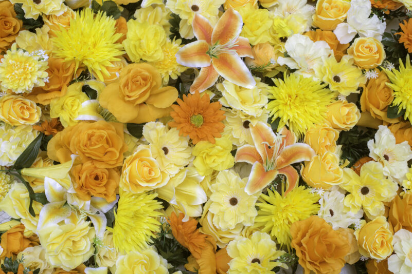 Die-zehn-beliebtesten-chinesischen-Blumen-und-ihre-Bedeutung