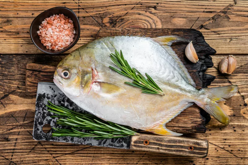 Bereit für etwas Neues? Hier kommt die Pompano-Diät
