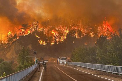 Waldbrände in Südeuropa: Griechenland, Türkei, Italien
