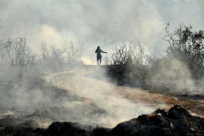 Mindestens zwei Tote bei Wald- und Buschbrand auf Zypern