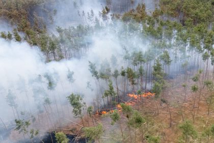 Waldbrände in Ostdeutschland: Hunderte Einsatzkräfte kämpfen weiter gegen Flammen