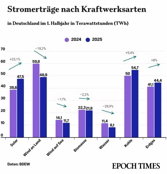 Die Stromdaten der Erneuerbaren.