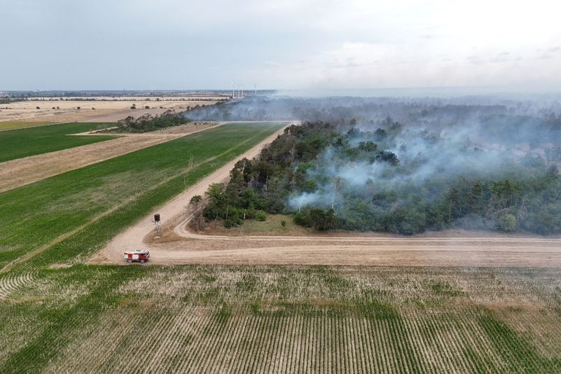Wegen des Waldbrands in der Gohrischheide wurde Katastrophenalarm ausgelöst.