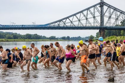 Hunderte Teilnehmer beim Elbeschwimmen in Dresden