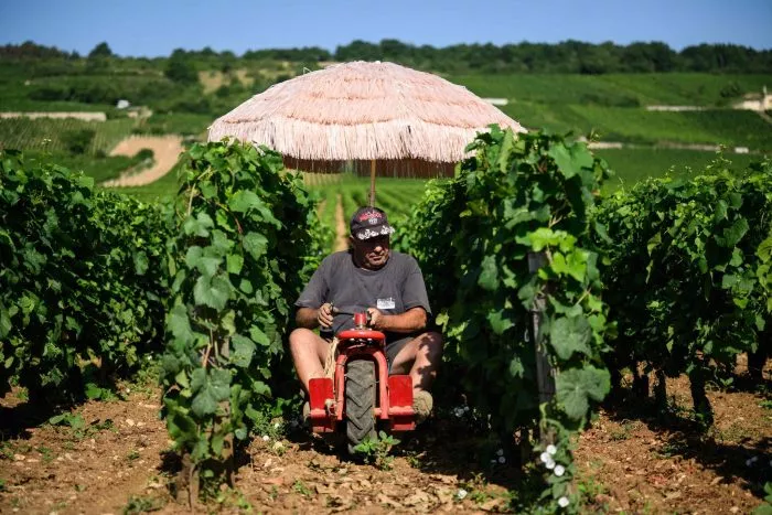 Neben Lieferdiensten und Bauarbeitern ist die Landwirtschaft besonders von Hitze betroffen. (Archivbild)