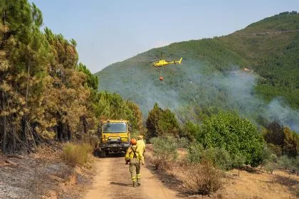 Brände in Südeuropa und Türkei lassen nach - neue Hitze droht