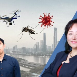Kanonen gegen Spatzen: Chinas „Mückenkrieg” deckt systemische Probleme auf