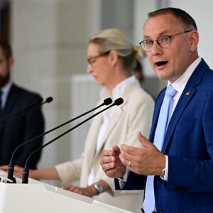 AfD-Verbotsantrag: Neue Studie sieht Verfassungsschutz-Gutachten als guten Ausgangspunkt