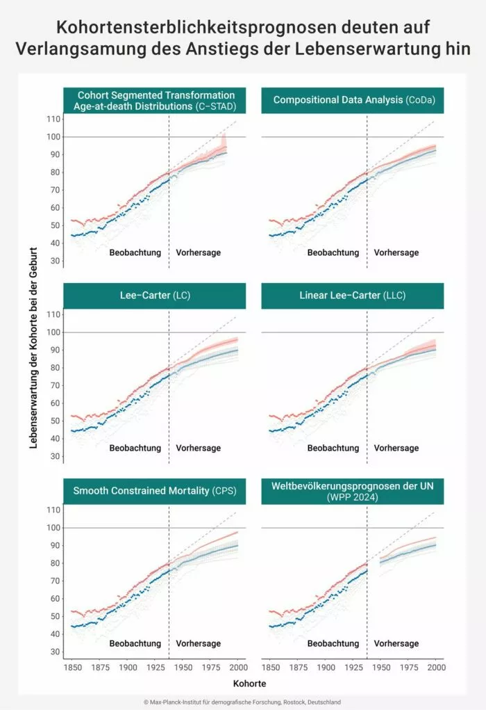Die Lebenserwartung der Kohorte wurde sowohl beobachtet als auch prognostiziert