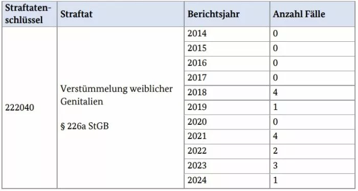 Die Tabelle des BMFSFJ vom 4. August 2025 listet die Fälle weiblicher Genitalverstümmelungen in Deutschland in den Jahren 2014 bis 2024 auf. Foto: Ausschnitt der Antwort der Bundesregierung auf eine Kleine Anfrage der AfD-Fraktion