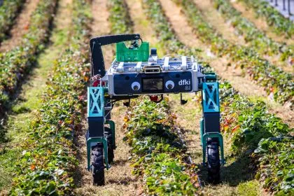 Jeder Dritte befürchtet Arbeitsplatz-Verlust durch KI