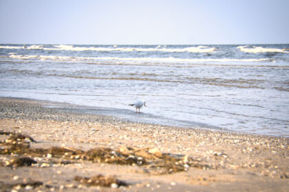 Meeresstrand – von Theodor Storm