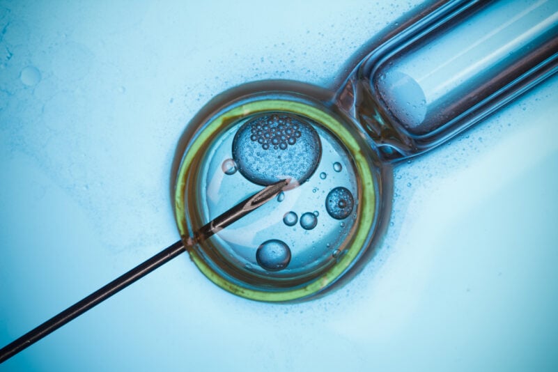 Erfolgreicher Test: Nachwuchs mit zwei Vätern sowie drei Eltern geboren