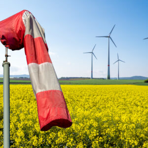 Wind hält sich nicht an den Plan der Regierung