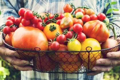 Internationaler Tag der Tomate: So gesund sind die Powerfrüchte aus dem eigenen Garten