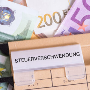 Schwarzbuch: Beamter im Dauerurlaub, Millionen für Computerspiele, Brücke über einen Minisee