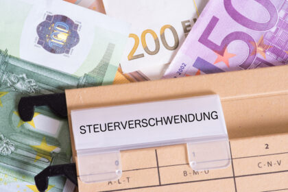 Schwarzbuch: Beamter im Dauerurlaub, Millionen für Computerspiele, Brücke über einen Minisee