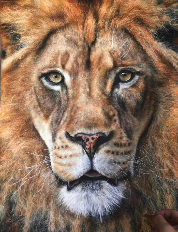 Kopf eines Löwen von Hanna Asfour