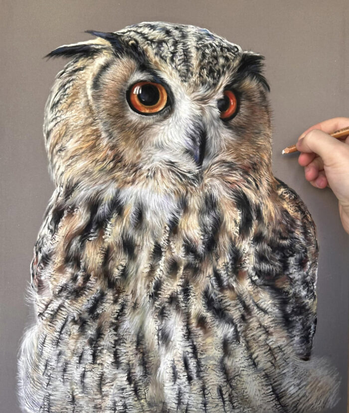 Eule von Hanna Asfour
