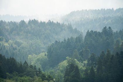 Bis 26 Grad warm: Sonnigeres Wetter zur Wochenmitte