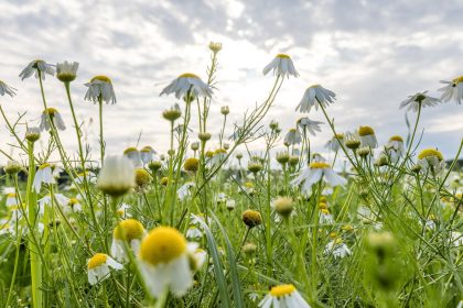 Sommerliches Wochenende – Hitzewelle mit 30 Grad rollt an