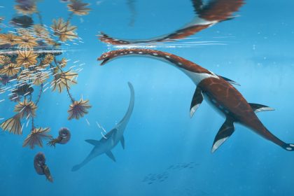 Zeitgenosse der Dinosaurier: Neues Meeresreptil bei Stuttgart entdeckt