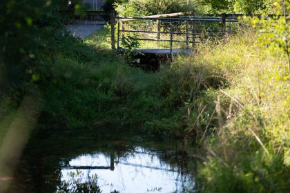 Koffer mit Leiche im Bach: Sonderkommission vor einem Rätsel
