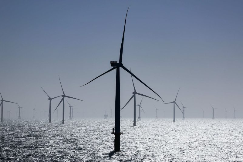 Windräder stehen in einem Windpark in der Nordsee. (Archivbild)