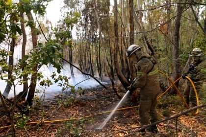 Portugal: Bereits vier Tote bei Waldbränden