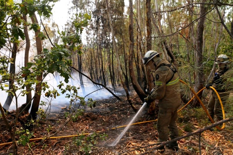 In Portugal gibt es eine leichte Entspannung bei den schweren Waldbränden. Noch aber sind rund 1.400 Feuerwehrleute im Einsatz.