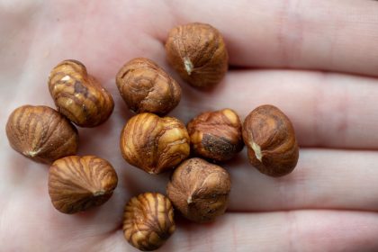 Nutella und Studentenfutter: Haselnüsse werden teurer