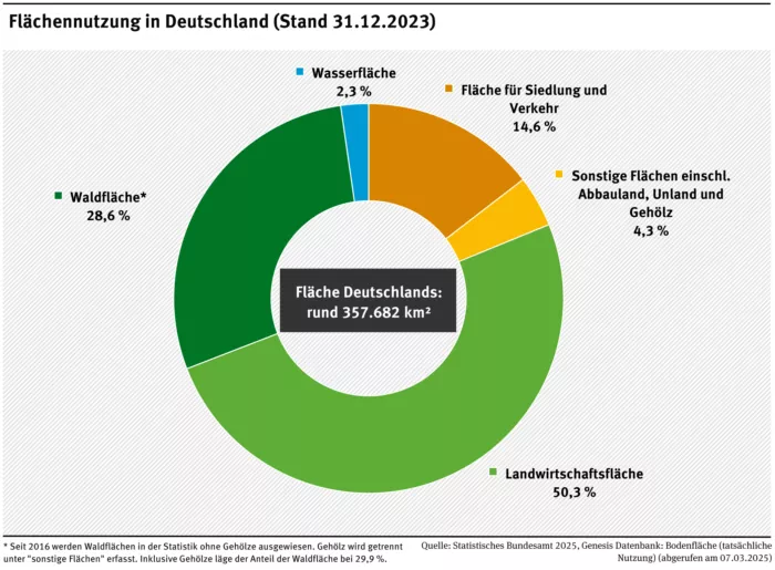 Rund 80 Prozent der Fläche Deutschlands sind mit Vegetation bedeckt und tragen so zur Verdunstung bei.