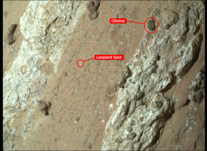 Nahaufnahme des Marsfelsens „Cheyava Falls“ mit Hervorhebung einen „Olivins“ und schwarz-weißen „Leoparden-Flecken“.