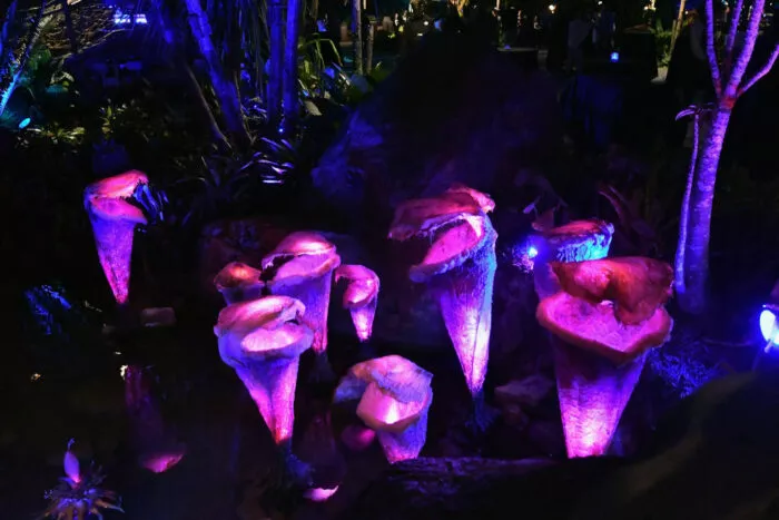 Pflanzen leuchten wie im Hollywood-Klassiker „Avatar“