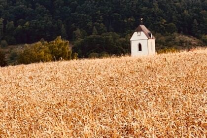 „Wer sät im Segen, wird auch ernten im Segen“