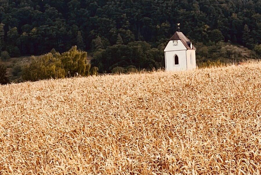 -Wer-s-t-im-Segen-wird-auch-ernten-im-Segen-