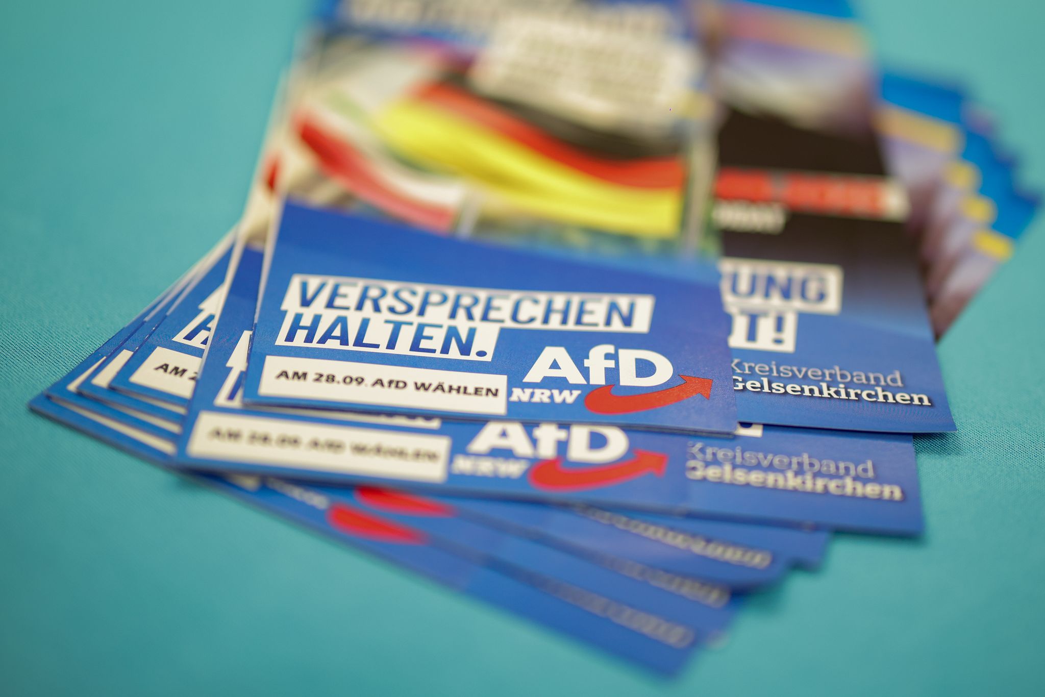 Verfassungsgericht-Klage-von-AfD-Politiker-unzul-ssig