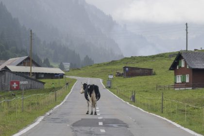 Wohin es deutsche Auswanderer zieht