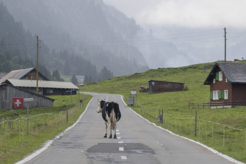 «Die Zahl der Deutschen mit Wohnsitz in der Schweiz steigt seit Jahren kontinuierlich», berichtete die Statistikbehörde. Binnen zehn Jahren erhöhte sich die Zahl der Deutschen in der Schweiz um 10,7 Prozent. (Archivfoto)